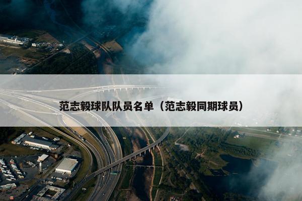 范志毅球队队员名单（范志毅同期球员）