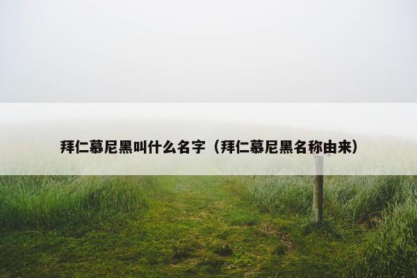 拜仁慕尼黑叫什么名字（拜仁慕尼黑名称由来）