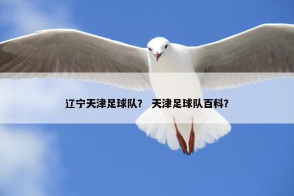辽宁天津足球队？ 天津足球队百科？
