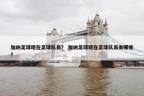 加纳足球现在足球队员？ 加纳足球现在足球队员有哪些？