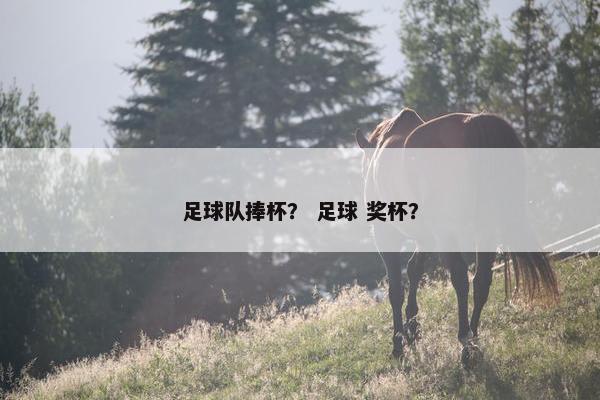 足球队捧杯？ 足球 奖杯？