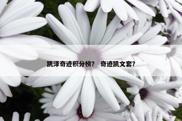 凯泽奇迹积分榜？ 奇迹凯文套？