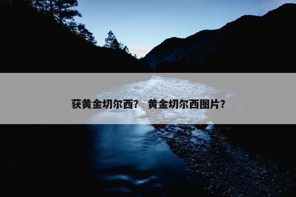 获黄金切尔西？ 黄金切尔西图片？