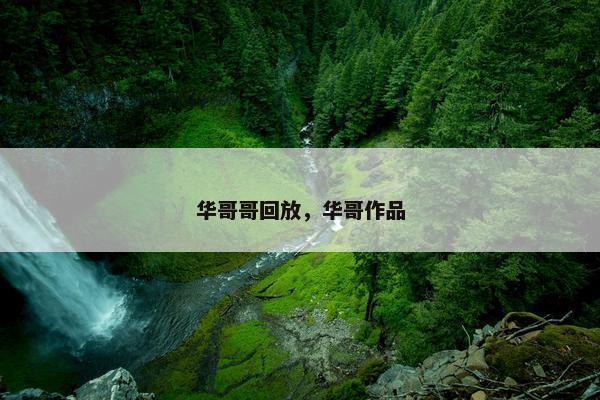 华哥哥回放，华哥作品
