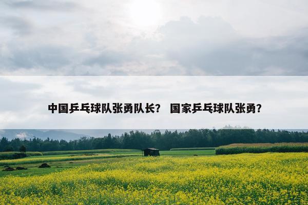 中国乒乓球队张勇队长？ 国家乒乓球队张勇？