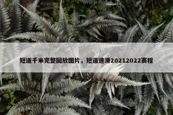 短道千米完整回放图片，短道速滑20212022赛程