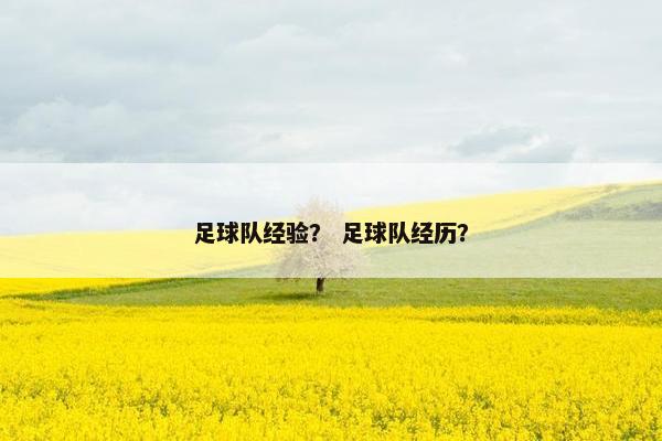 足球队经验？ 足球队经历？