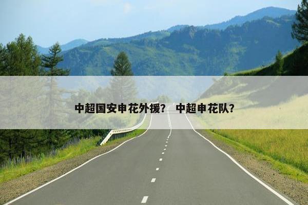 中超国安申花外援？ 中超申花队？