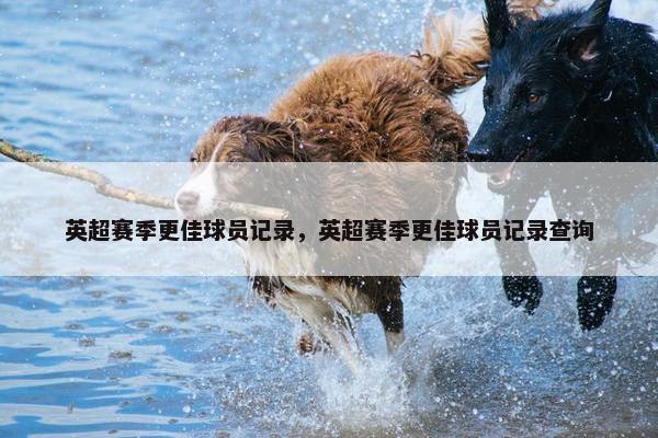 英超赛季更佳球员记录，英超赛季更佳球员记录查询
