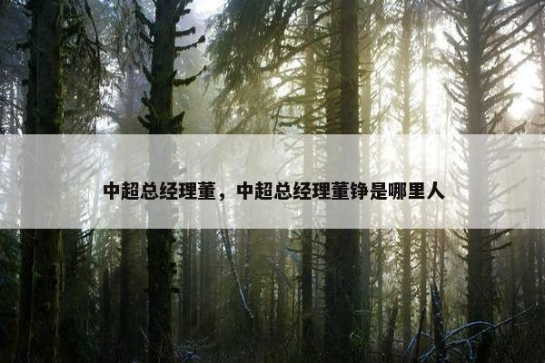 中超总经理董，中超总经理董铮是哪里人