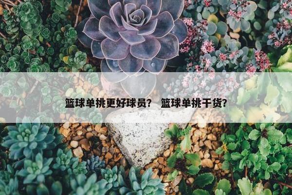 篮球单挑更好球员？ 篮球单挑干货？