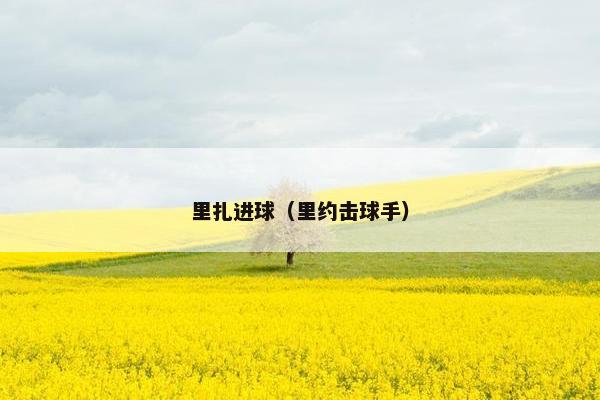 里扎进球（里约击球手）