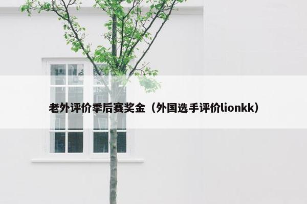 老外评价季后赛奖金（外国选手评价lionkk）