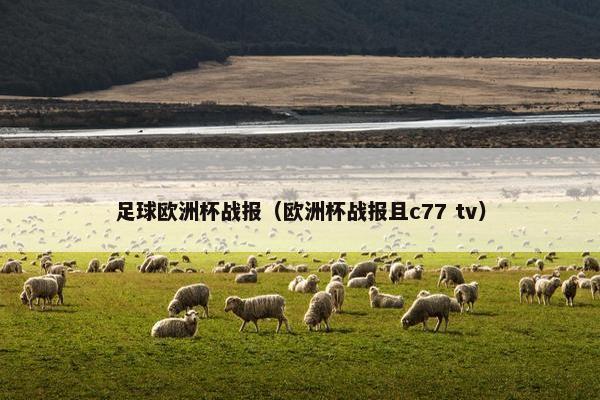 足球欧洲杯战报（欧洲杯战报且c77 tv）