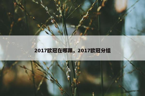 2017欧冠在哪踢，2017欧冠分组
