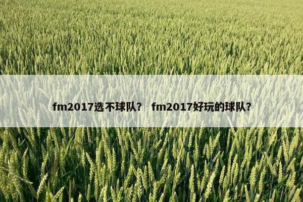 fm2017选不球队？ fm2017好玩的球队？