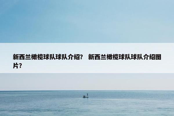 新西兰橄榄球队球队介绍？ 新西兰橄榄球队球队介绍图片？