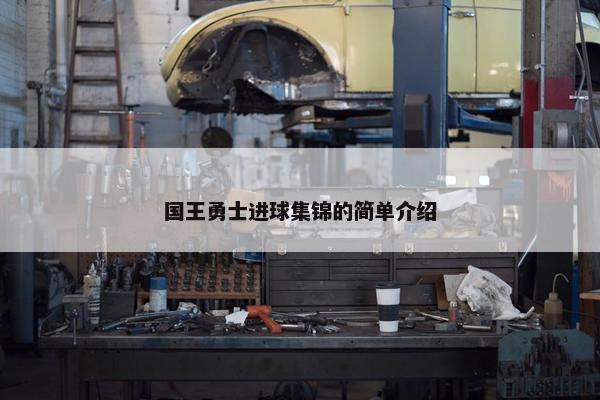 国王勇士进球集锦的简单介绍