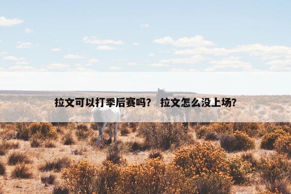 拉文可以打季后赛吗？ 拉文怎么没上场？