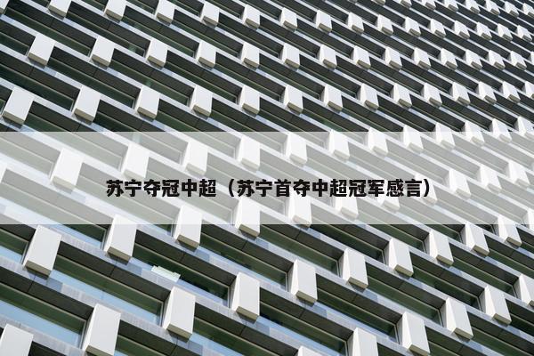 苏宁夺冠中超（苏宁首夺中超冠军感言）
