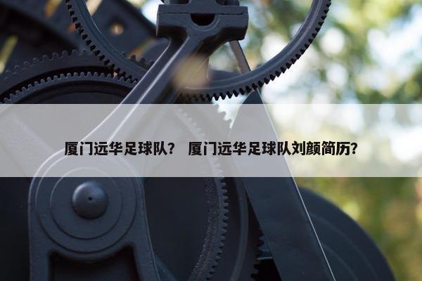 厦门远华足球队？ 厦门远华足球队刘颜简历？