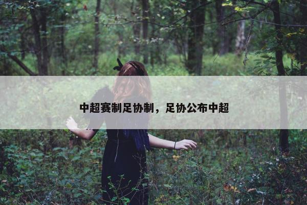 中超赛制足协制，足协公布中超