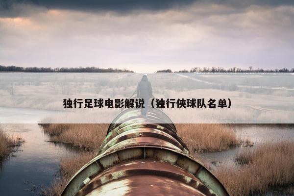 独行足球电影解说（独行侠球队名单）