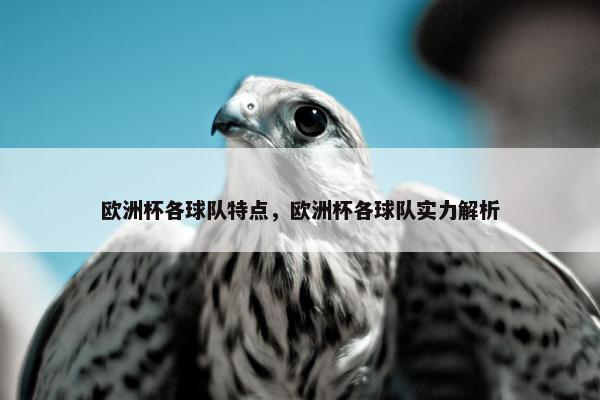 欧洲杯各球队特点，欧洲杯各球队实力解析