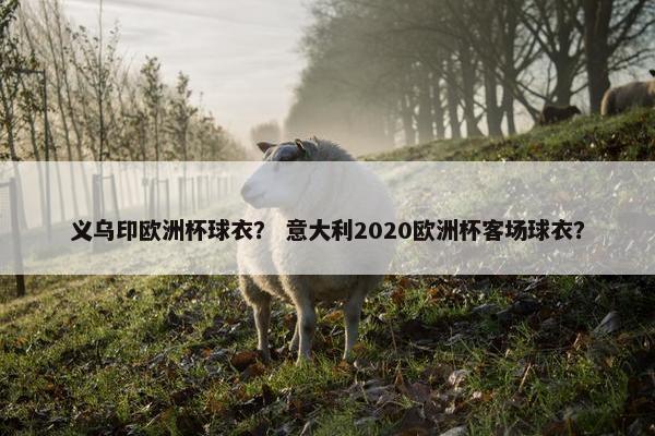 义乌印欧洲杯球衣？ 意大利2020欧洲杯客场球衣？