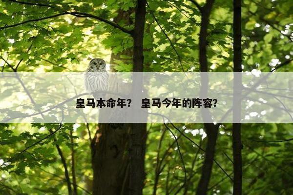 皇马本命年？ 皇马今年的阵容？