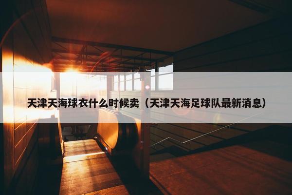 天津天海球衣什么时候卖（天津天海足球队最新消息）