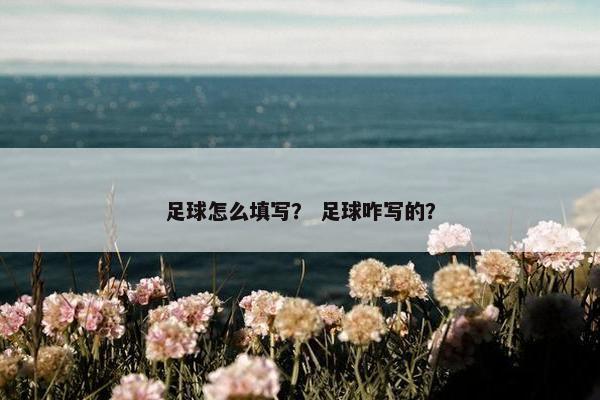 足球怎么填写？ 足球咋写的？