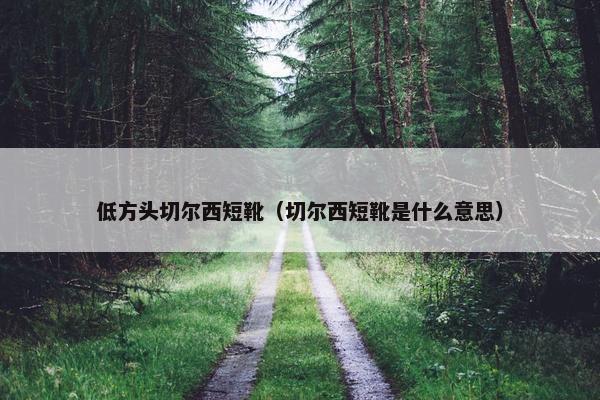 低方头切尔西短靴（切尔西短靴是什么意思）