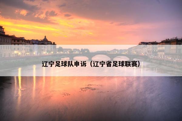 辽宁足球队申诉（辽宁省足球联赛）