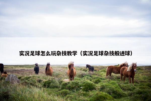 实况足球怎么玩杂技教学（实况足球杂技般进球）