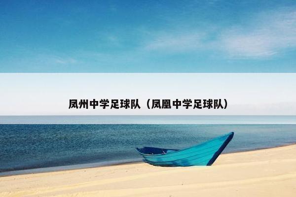 凤州中学足球队（凤凰中学足球队）