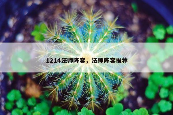 1214法师阵容，法师阵容推荐