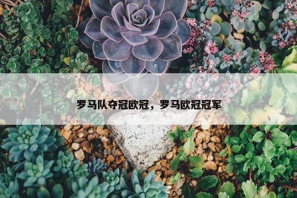 罗马队夺冠欧冠，罗马欧冠冠军