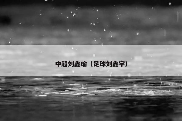 中超刘鑫瑜（足球刘鑫宇）