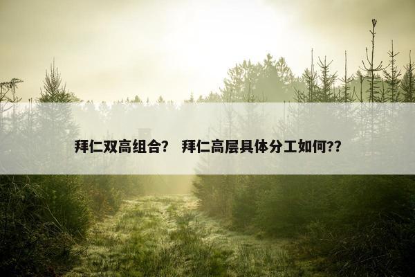 拜仁双高组合？ 拜仁高层具体分工如何?？