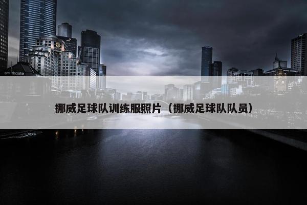 挪威足球队训练服照片（挪威足球队队员）
