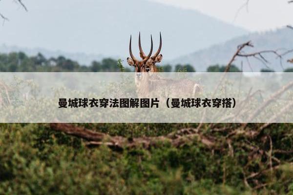 曼城球衣穿法图解图片（曼城球衣穿搭）