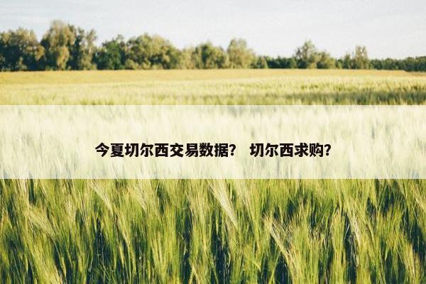 今夏切尔西交易数据？ 切尔西求购？