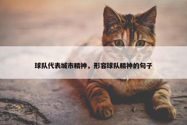 球队代表城市精神，形容球队精神的句子