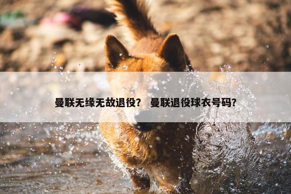 曼联无缘无故退役？ 曼联退役球衣号码？