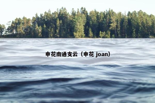 申花南通支云（申花 joan）