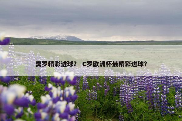 臭罗精彩进球？ C罗欧洲杯最精彩进球？