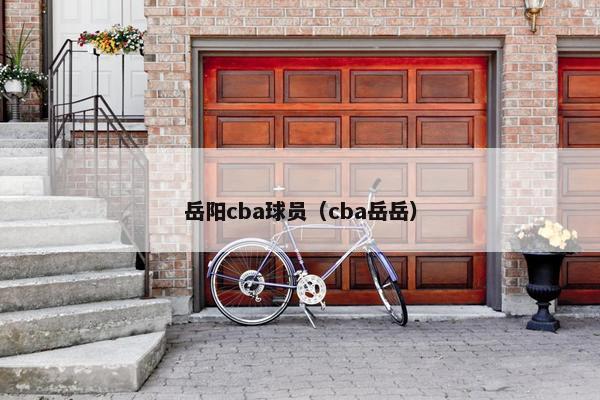 岳阳cba球员（cba岳岳）