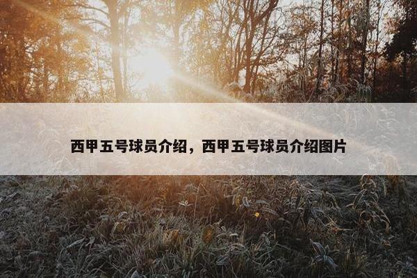 西甲五号球员介绍，西甲五号球员介绍图片