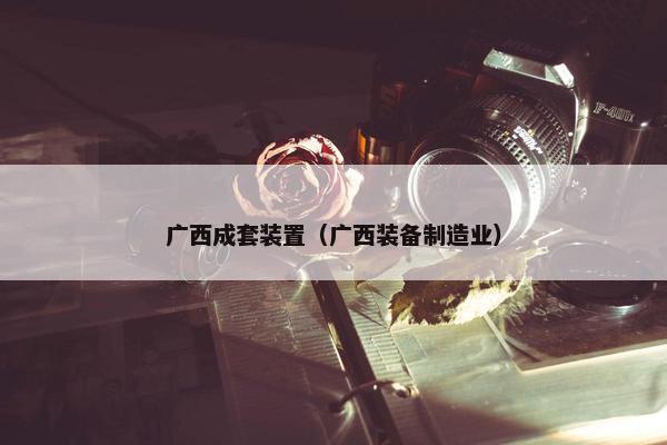 广西成套装置（广西装备制造业）